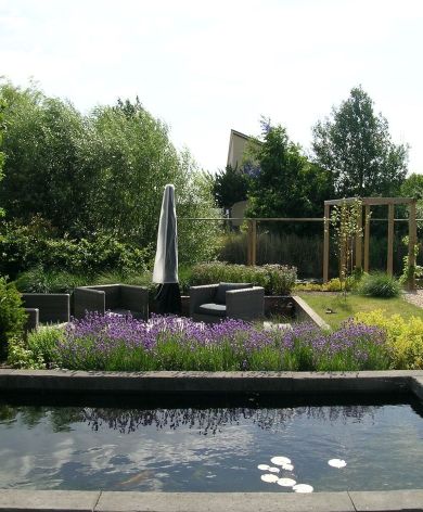 Renovatie met vijver