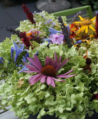 Sfeervolle tuin met veel groen