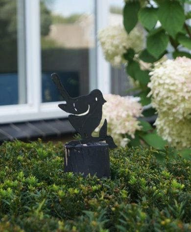 Sfeervolle tuin met veel groen